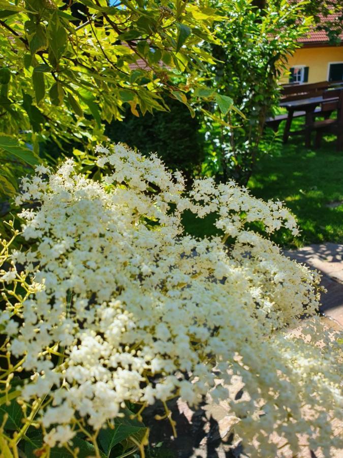 Landhof Steinbaeck Hotel Sankt Stefan ob Stainz Exterior foto