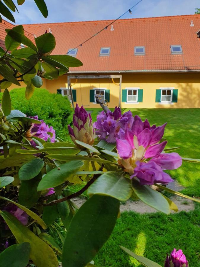 Landhof Steinbaeck Hotel Sankt Stefan ob Stainz Exterior foto